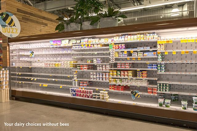 A grocery store in a world without bees